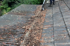 gutterCleaning15-scaled