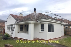 roofCleaning1