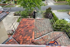 roofCleaning4-scaled