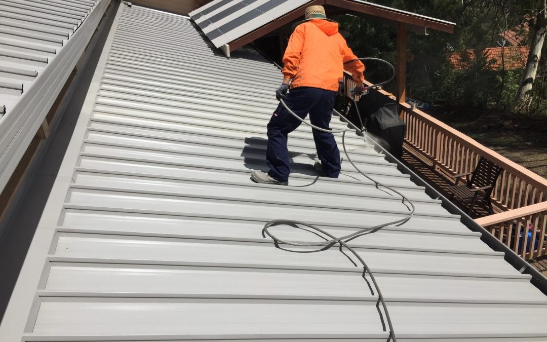 Roof Painting