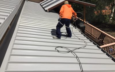 Roof Painting